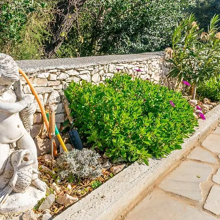 Visnja Rogoznica (Sibenik-Knin)